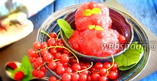 Сорбет из красной смородины