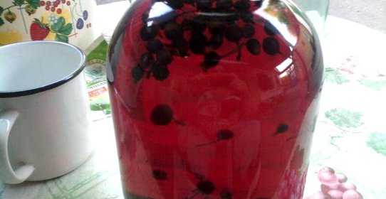 Компот из черной смородины на зиму