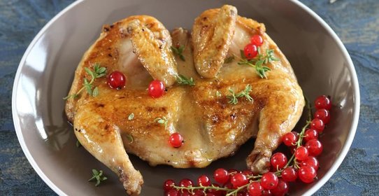 Цыплята «Табака»