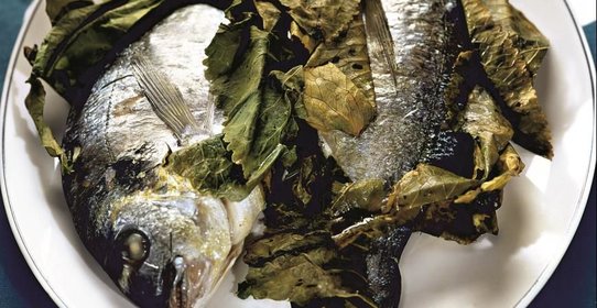 Дорада, запеченная в листьях хрена