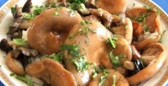 Засолка волнушек