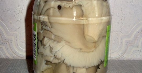 Соленые вешенки горячий способ