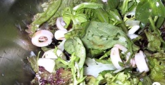 Летний салат из кальмаров