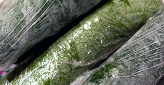 Долма на зиму