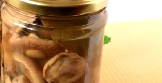 Маринованные маслята с горчицей