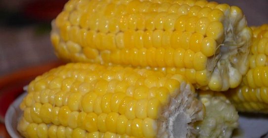 Вареная кукуруза
